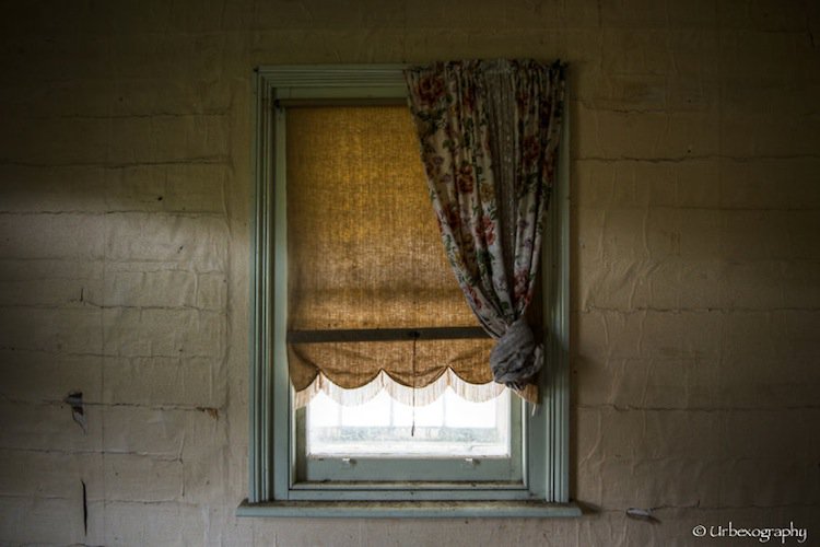 window-curtain