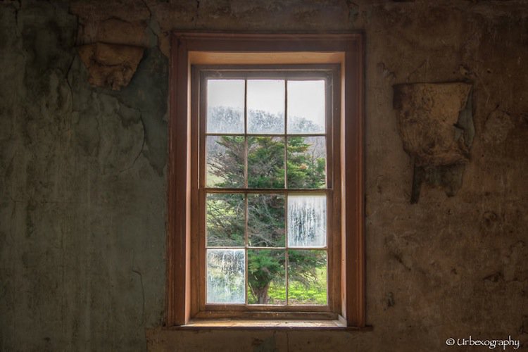 window-panes