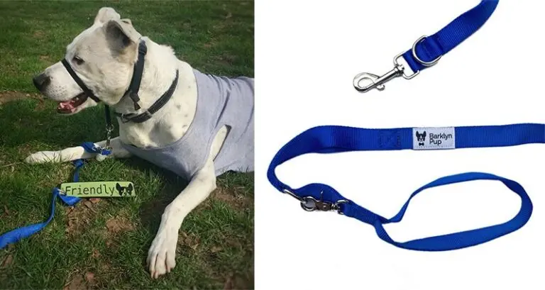 This ‘Barklyn Pup’ Dog Leash Will Make Walking Your Dog A Breeze Barklyn Pup Dog Leash