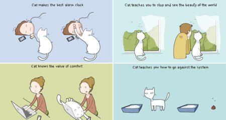 Benefits Of Having A Cat