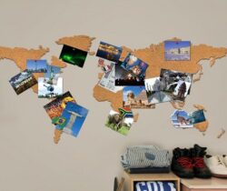 Cork Board World Map