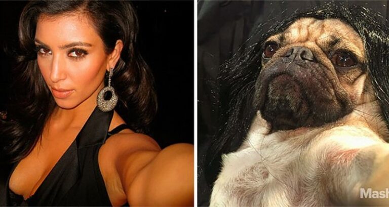 Doug The Pug Recreates Kim Kardashian West Selfies