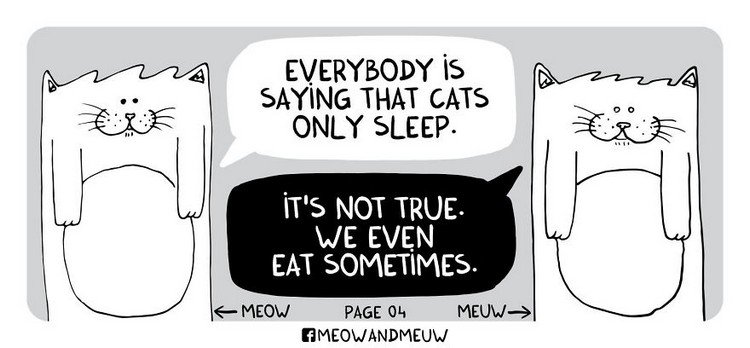 Meow-and-Meuw-eat-sleep