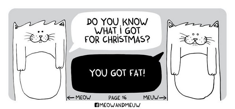 Meow-and-Meuw-fat