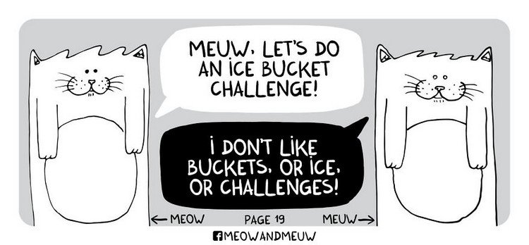 Meow-and-Meuw-ice