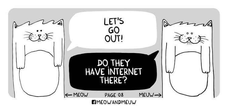 Meow-and-Meuw-internet