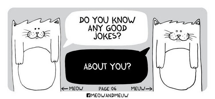 Meow-and-Meuw-joke