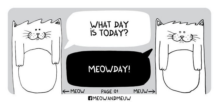 Meow-and-Meuw-meowday