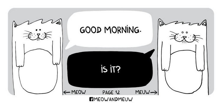 Meow-and-Meuw-morning