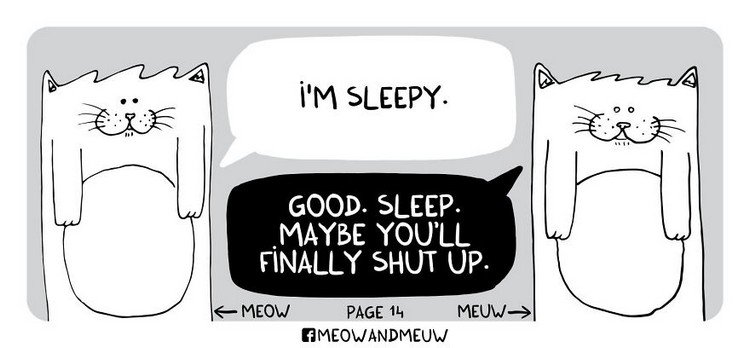 Meow-and-Meuw-sleep
