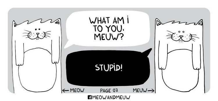 Meow-and-Meuw-stupid