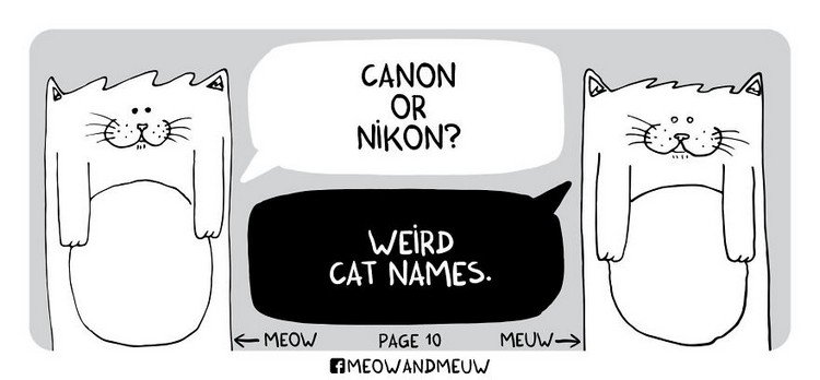 Meow-and-Meuw-weird