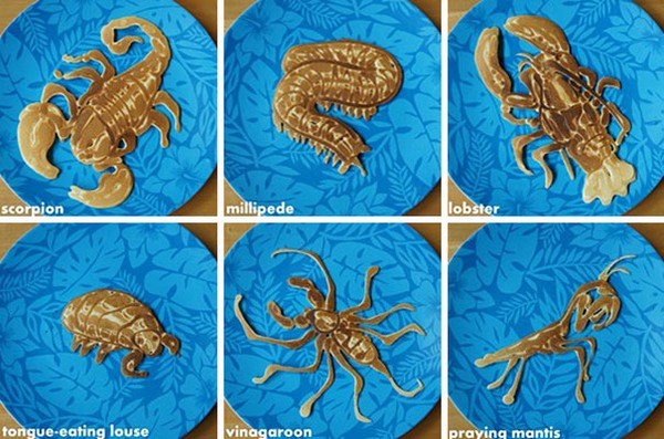 arthropods pancakes