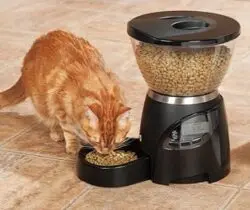 automatic pet feeder