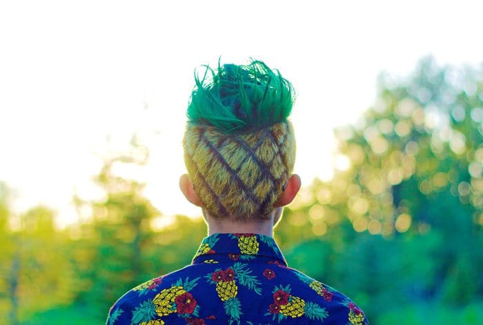 back pineapple head