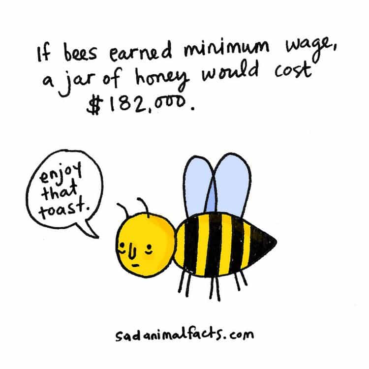 bee fact