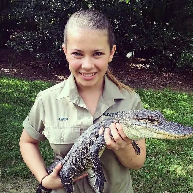 bindi-croc