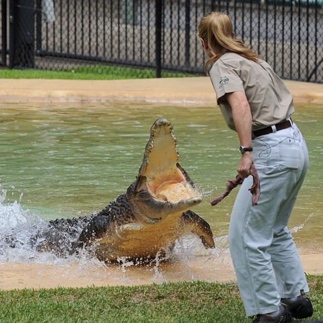 bindi-crocs