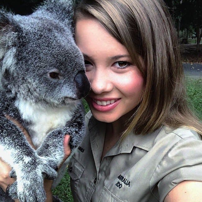 bindi-koala-two