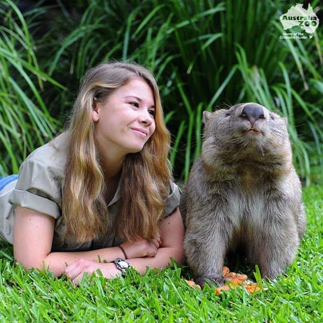 bindi-wombat