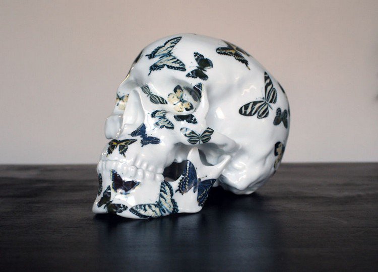 butterfly pattern skull