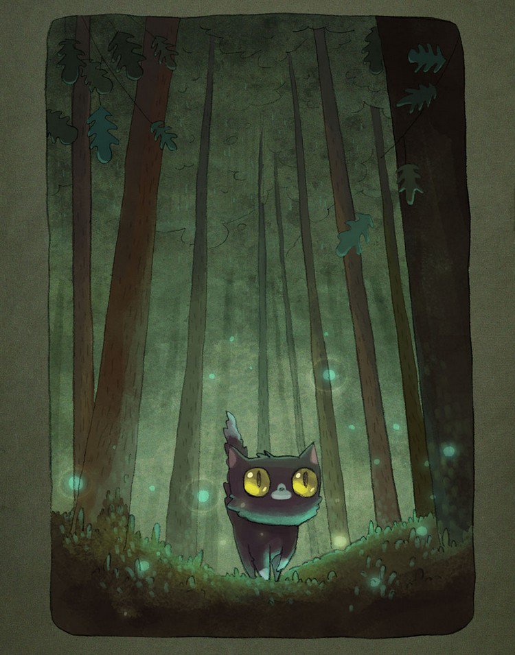 cat dark woods