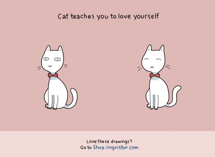 cat love