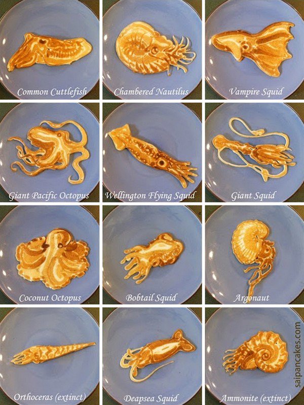 cephalopod pancakes