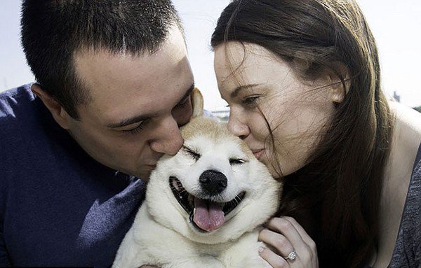 couple kissing dog