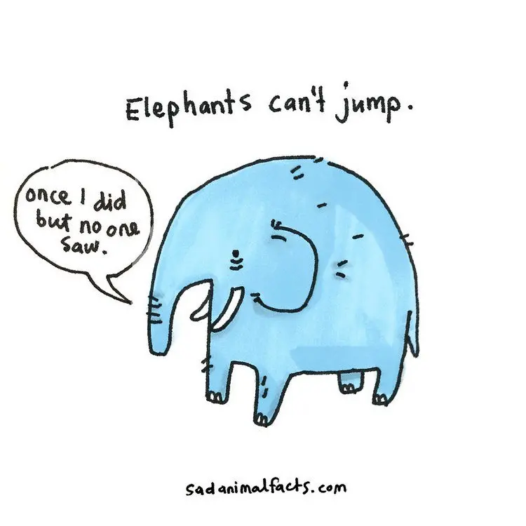 elephant fact