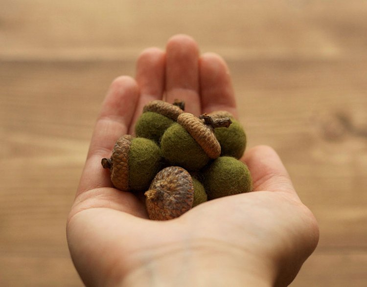erin-gardner-needle-felt-felted-acorns