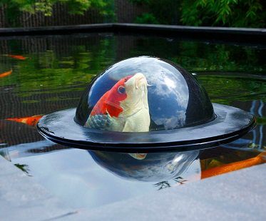 floating fish dome