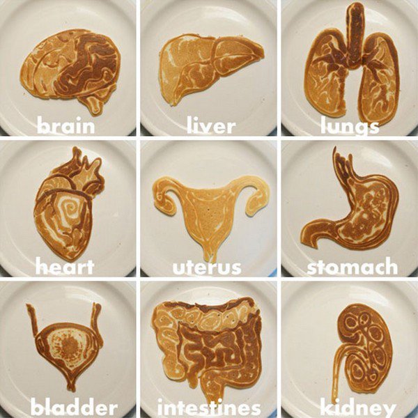 human organ pancakes