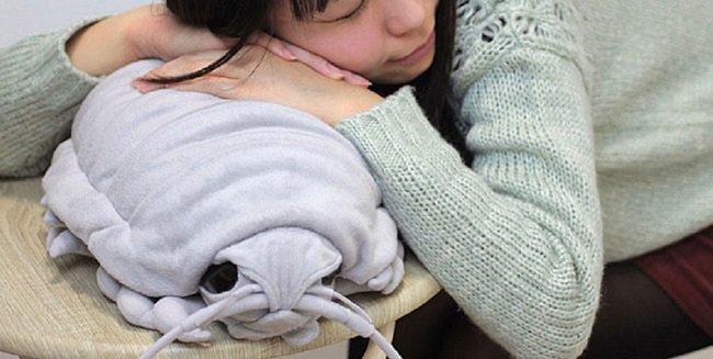 isopod-plushies-pillow