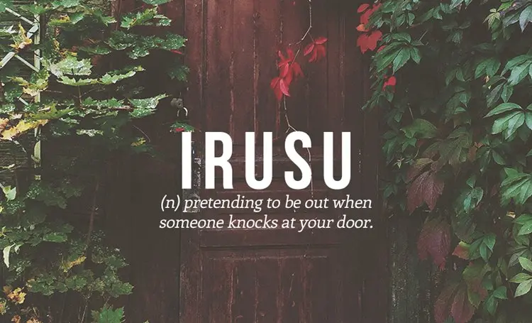 japanese-words-irusu