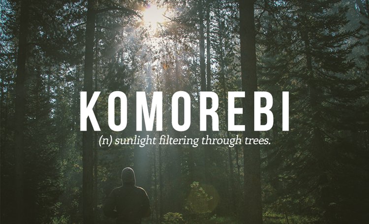 japanese-words-komorebi