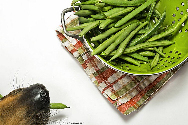 kaya green beans