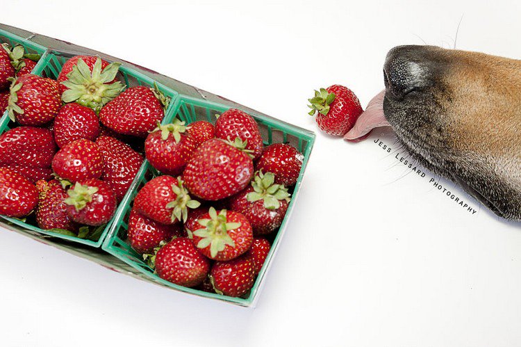 kaya strawberries