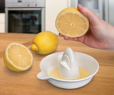 lemon shark juicer