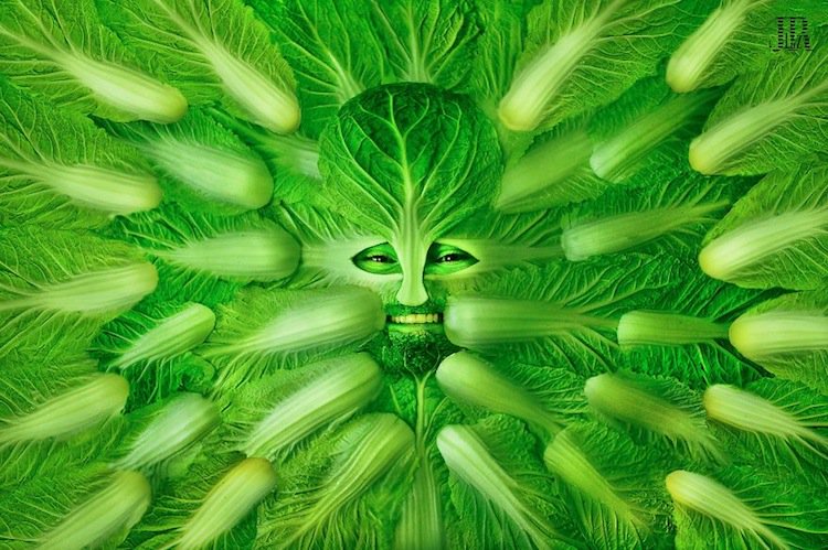 luz-celery