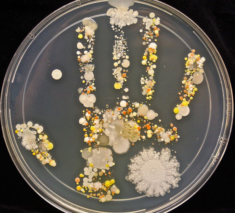 microbe handprints