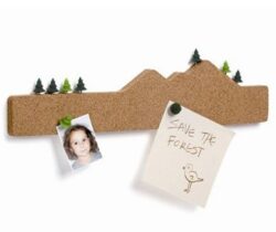 mountain memo board