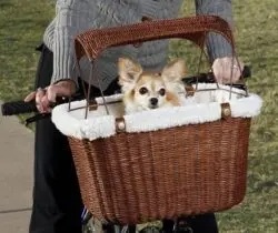 pet bicycle basket