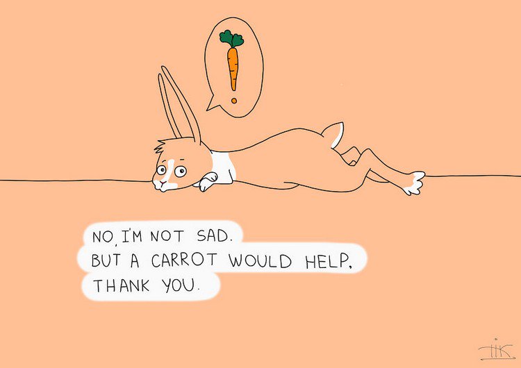 rabbit wants carrot