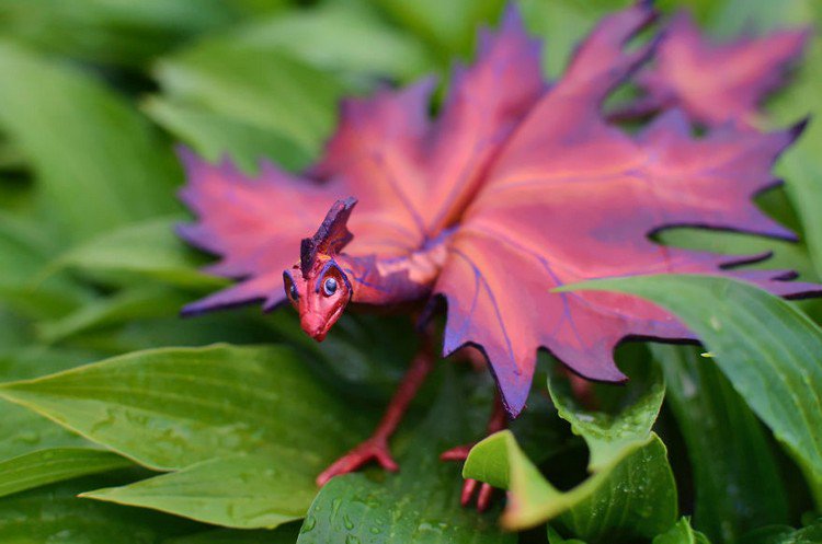 red leaf dragon