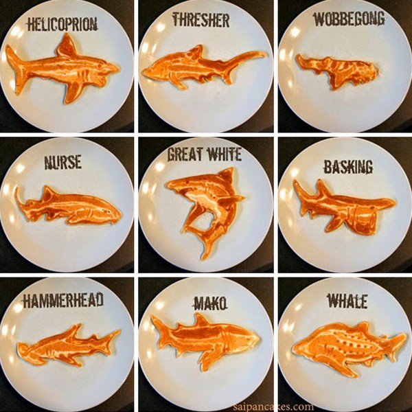 sharks pancakes