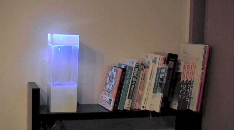 tempescope shelf