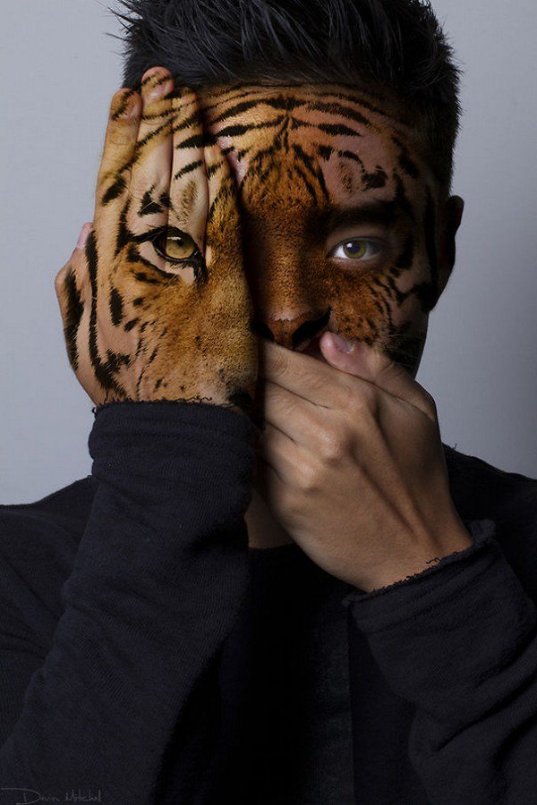 tiger man head shoulders