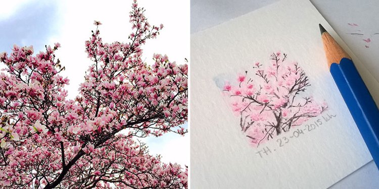 tiny-spring-illustrations-kasia-haldas-blssom