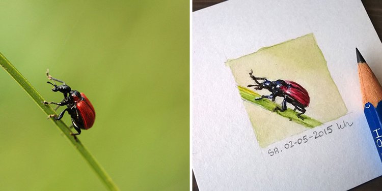 tiny-spring-illustrations-kasia-haldas-bug